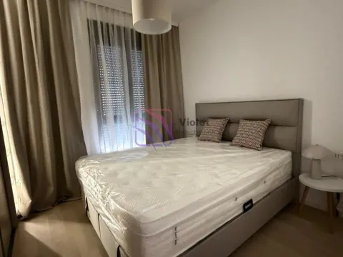 Izdavanje, jednosoban stan, 37m², Tološi, Podgorica - image 16