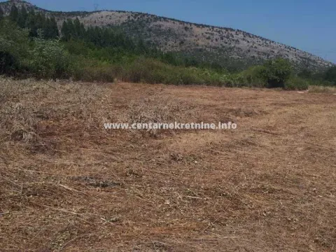 Prodaja, plac, 2450m², Tološi, Podgorica - image 4