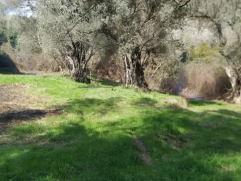 Zemljište in Kruče