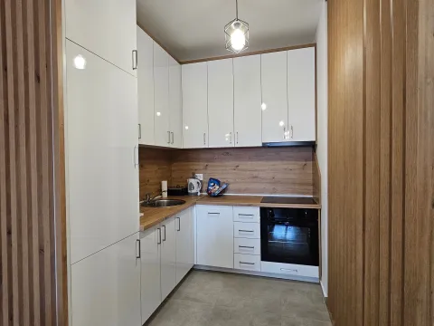 Izdavanje, jednosoban stan, 46m², Stari Aerodrom, Podgorica - image 2