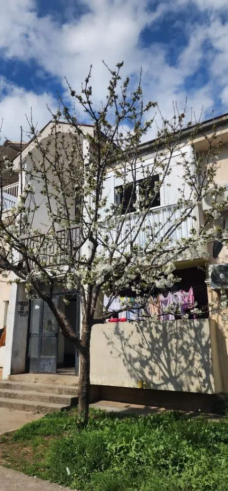 Prodaja, jednosoban stan, 49m², Zabjelo, Podgorica