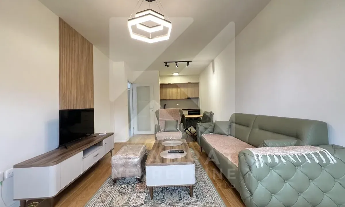 Izdavanje, jednosoban stan, 49m², Central Point, Podgorica