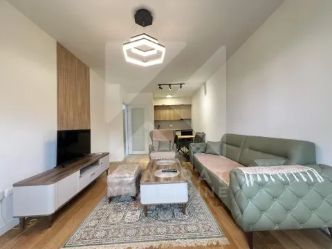 Izdavanje, jednosoban stan, 49m², Central Point, Podgorica - image 1
