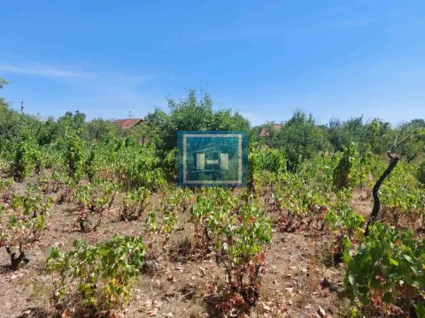 Sale, land lot, 1200m², Karadjordjevo brdo, Paraćin - image 2