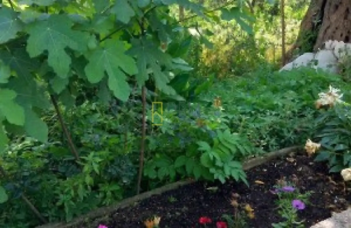 Izdavanje, kuća, 120m², Kunje, Bar