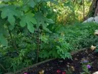 Izdavanje, kuća, 120m², Kunje, Bar - image 1