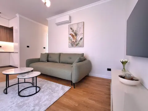 Rent, apartment, 60m², Zabjelo, Podgorica - image 4