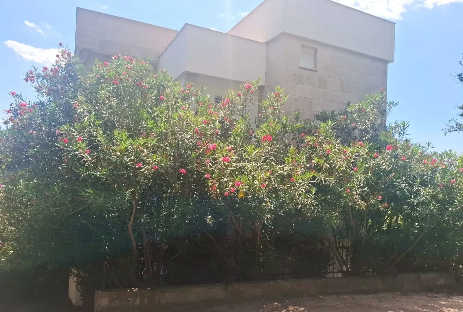 Sale, house, 380m², Perazića do, Budva