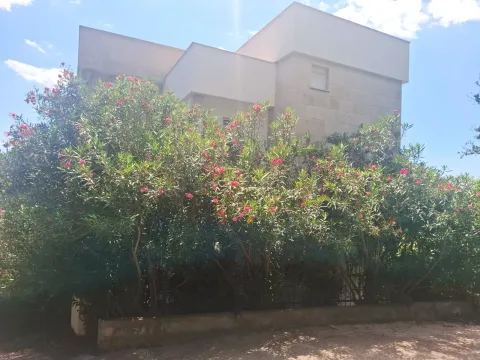 Sale, house, 380m², Perazića do, Budva - image 5