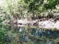 Prodaja, plac, 1860m², Plav, Crna Gora - image 4