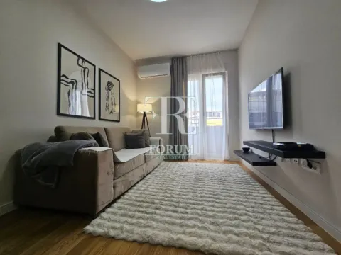 Izdavanje, jednosoban stan, 40m², Central Point, Podgorica - image 6