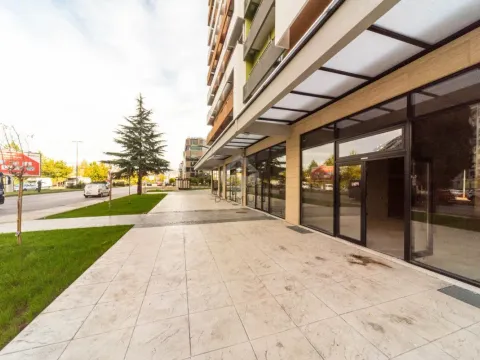 Izdavanje, poslovni prostor, 160m², Central Point, Podgorica