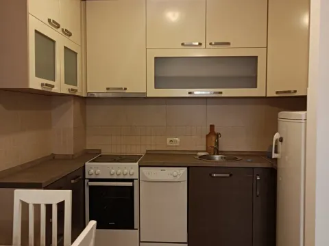 Izdavanje, jednosoban stan, 45m², Stari Aerodrom, Podgorica - image 3