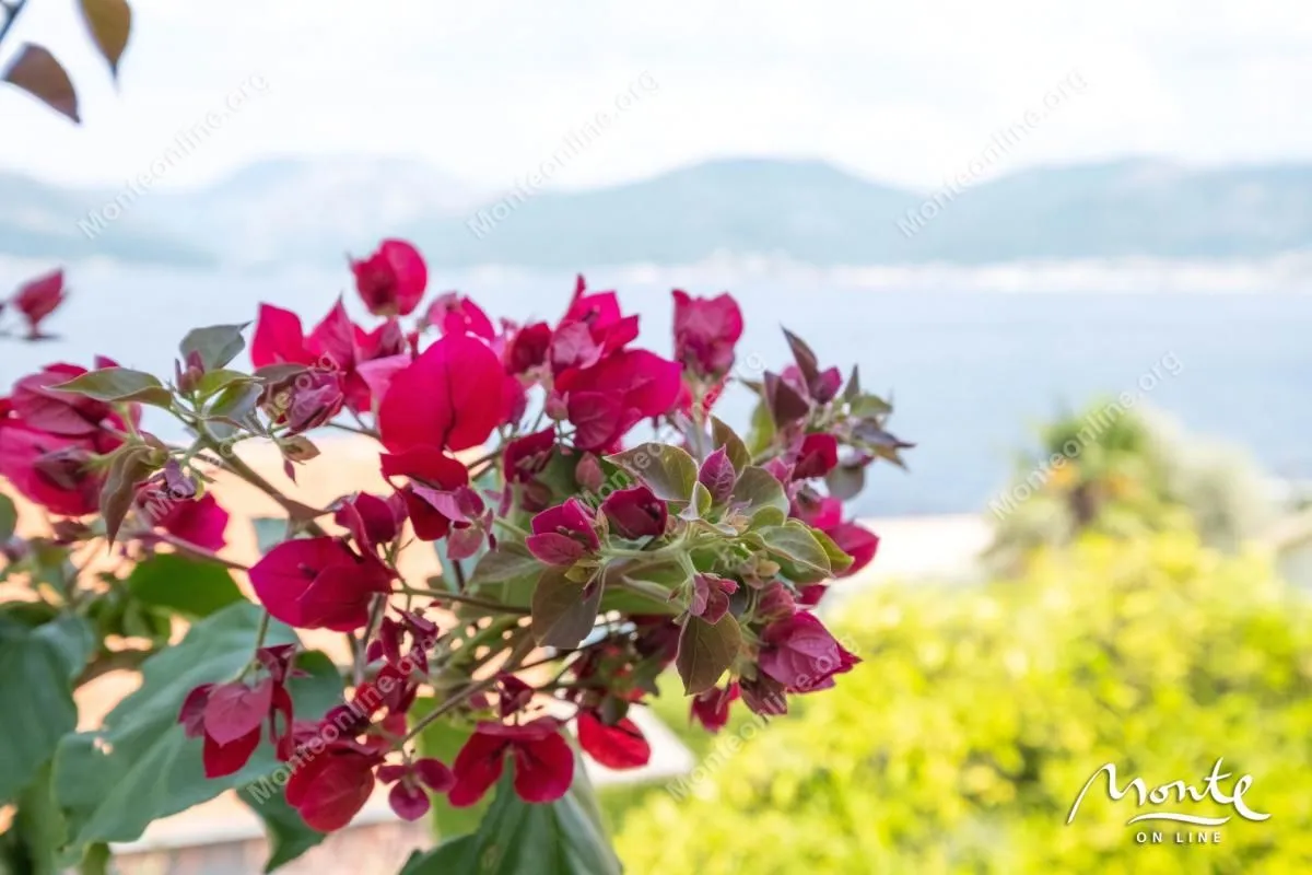 Prodaja, kuća, 147m², Krašići, Tivat
