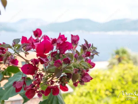 Prodaja, kuća, 147m², Krašići, Tivat - image 42