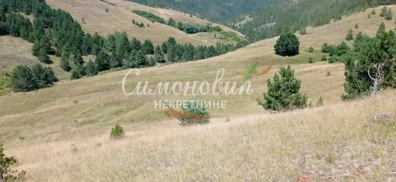 Prodaja, plac, 212100m², Divčibare, Valjevo