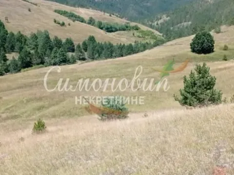 Sale, land lot, 212100m², Divčibare, Valjevo - image 11