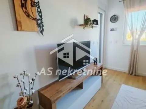 Izdavanje, dvosoban stan, 42m², Zemun Sve Podlokacije, Beograd - image 3