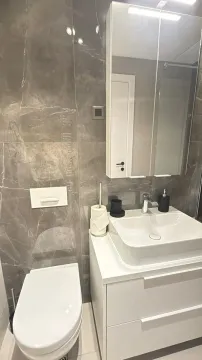 Modernly equipped bathroom with a washbasin, mirrored cabinet, and toilet. - image 13