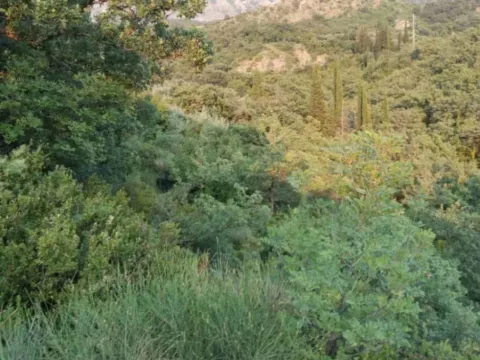 Prodaja, plac, 9890m², Zaljevo, Bar - image 5