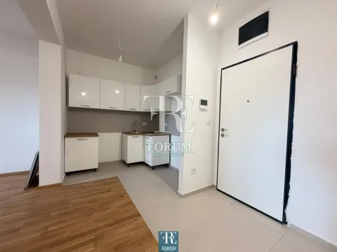 Rent, one bedroom apartment, 50m², Stari Aerodrom, Podgorica - image 4