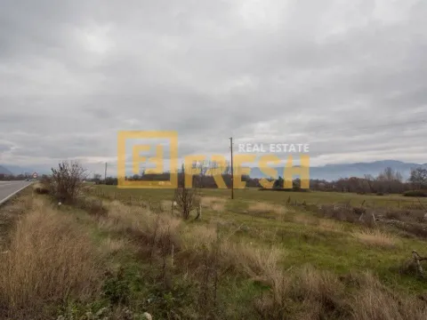 Prodaja, plac, 25000m², Danilovgrad, Crna Gora - image 2