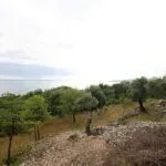 Prodaja, plac, 2650m², Reževići, Budva - image 10