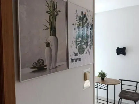 Izdavanje, garsonjera, 24m², Grbavica, Novi Sad Sve Podlokacije - image 10