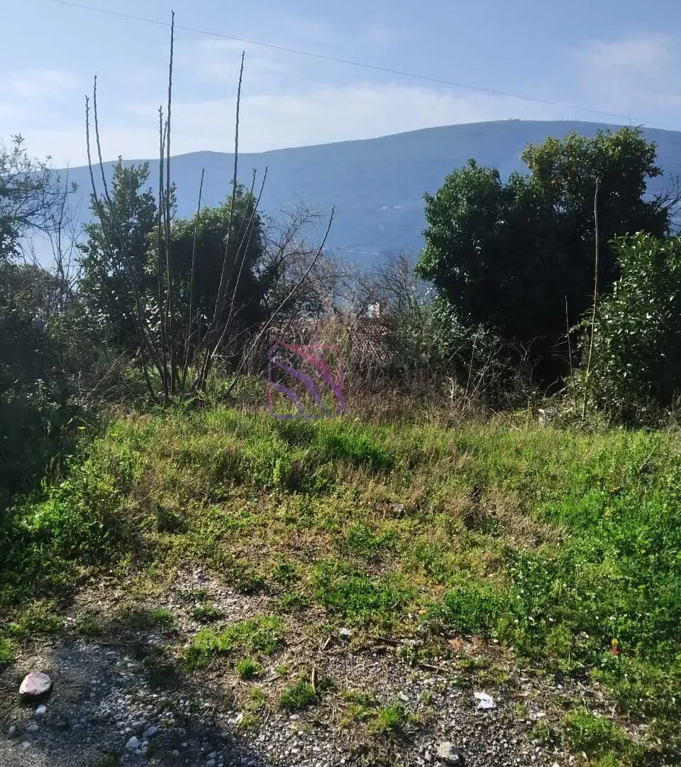Prodaja, plac, 276m², Đenovići, Herceg Novi