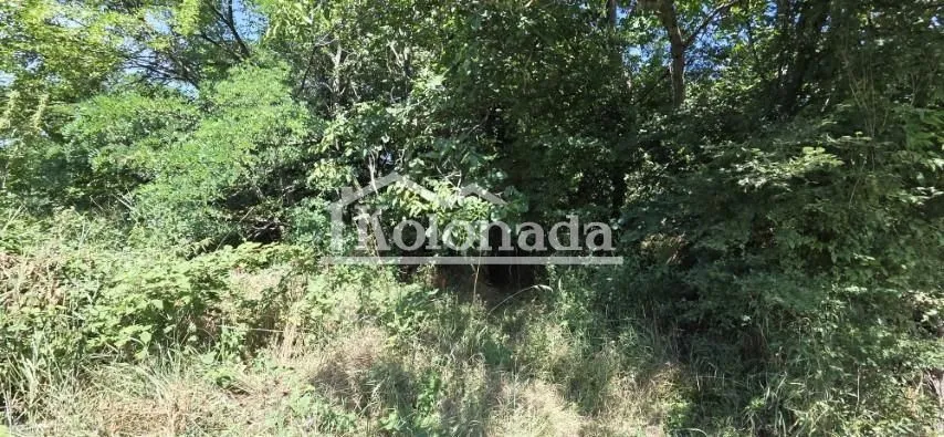 Prodaja, plac, 2300m², Parcani, Sopot