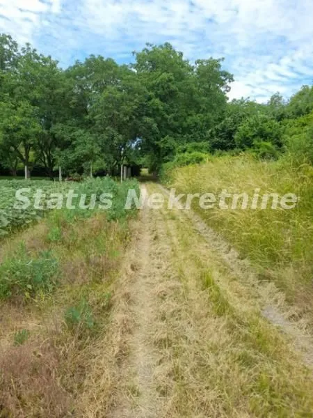 Prodaja, plac, 4100m², Inđija, Srbija