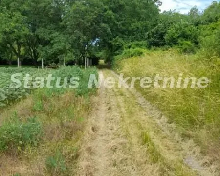 Prodaja, plac, 4100m², Inđija, Srbija - image 3