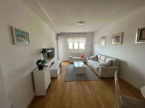 Rent, one bedroom apartment, 49m², Central Point, Podgorica - image 9