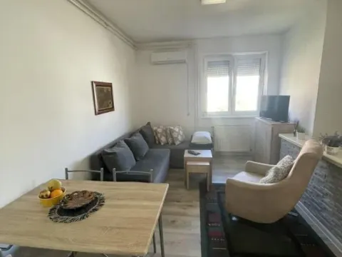 Rent, studio apartment, 20m², Liman 4, Novi Sad Sve Podlokacije