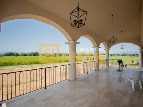 Prodaja, kuća, 700m², Zeta, Podgorica - image 27