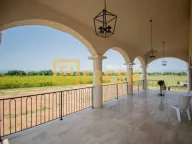 Prodaja, kuća, 700m², Zeta, Podgorica - image 27