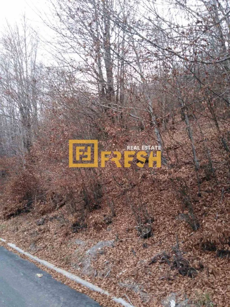Prodaja, plac, 500m², Ostalo, Podgorica