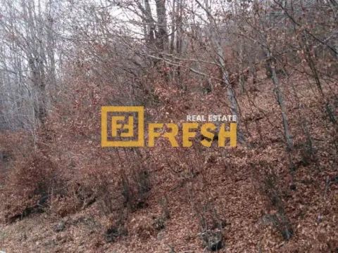 Sale, land lot, 500m², Ostalo, Podgorica - image 9