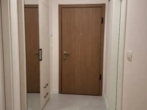 Izdavanje, jednosoban stan, 49m², Central Point, Podgorica - image 2