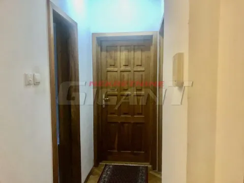 Prodaja, kuća, 210m², Lion, Zvezdara Sve Podlokacije - image 15