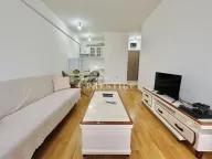 Izdavanje, jednosoban stan, 45m², Zabjelo, Podgorica - image 1