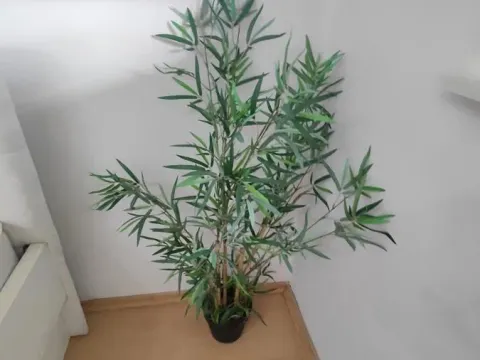 Izdavanje, jednosoban stan, 38m², Tabane, Jagodina - image 8