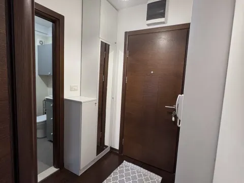 Izdavanje, jednosoban stan, 44m², Gorica C, Podgorica - image 6