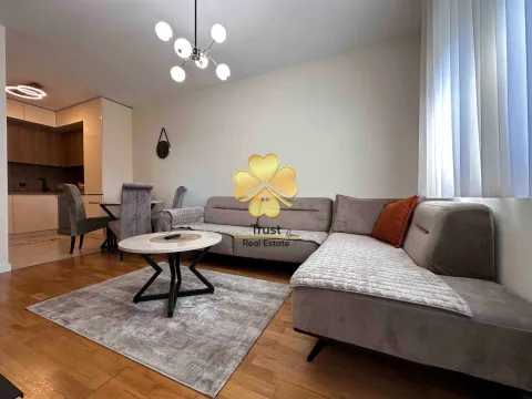 Izdavanje, jednosoban stan, 40m², Pobrežje, Podgorica - image 3