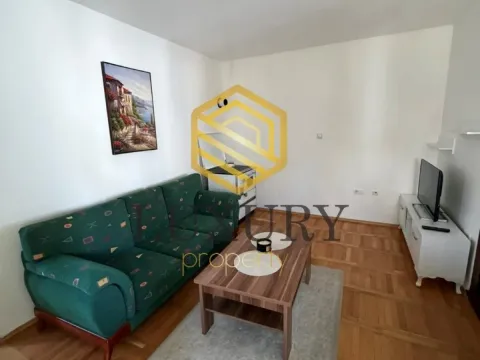 Rent, one bedroom apartment, 43m², Zlatica, Podgorica - image 1