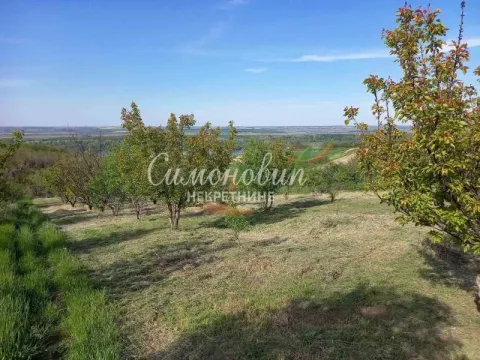 Prodaja, plac, 2100m², Novi Slankamen, Inđija - image 8