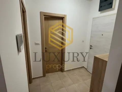 Rent, one bedroom apartment, 42m², Zagorič, Podgorica - image 5