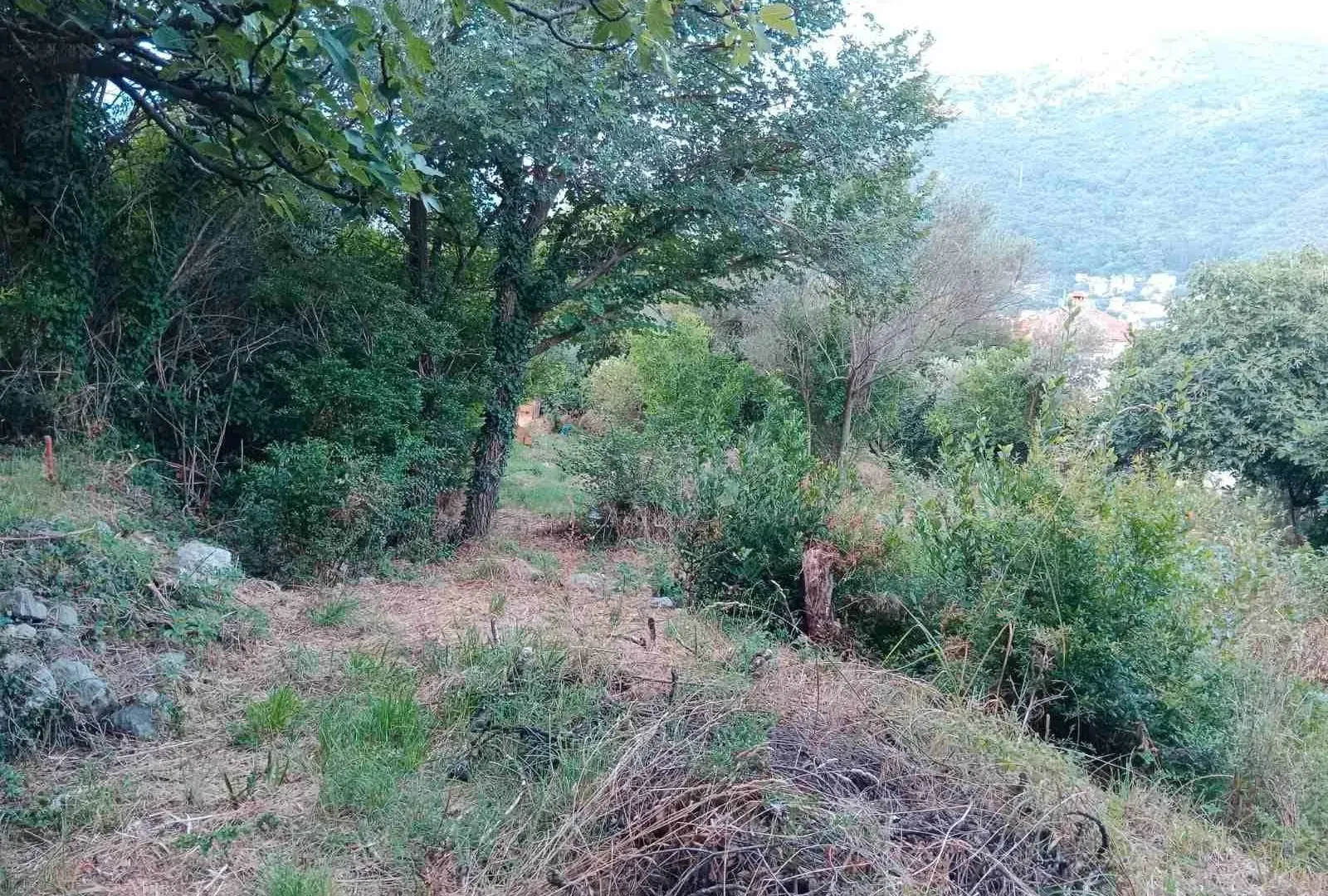 Prodaja, plac, 900m², Kamenari, Herceg Novi