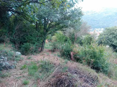 Prodaja, plac, 900m², Kamenari, Herceg Novi - image 3