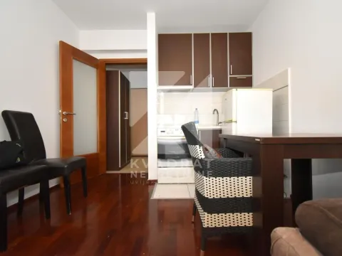 Rent, studio apartment, 24m², Stari Aerodrom, Podgorica - image 3